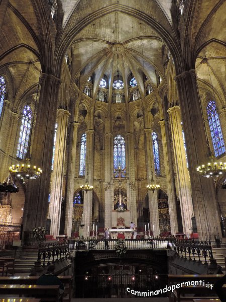 239 Cattedrale Gotica di Barcellona.JPG -           